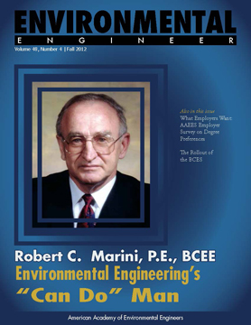 Environmental Engineer and Scientist